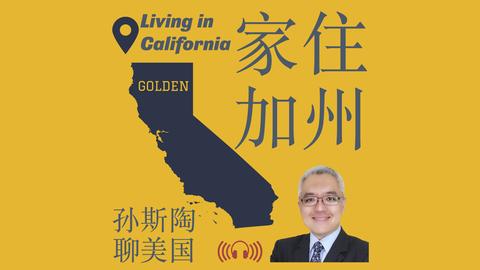 Carla Jade,拳击界的异,类讲述最艰,世界杯比分,2026世界杯比分,实时比分,赛事分析,足球比分