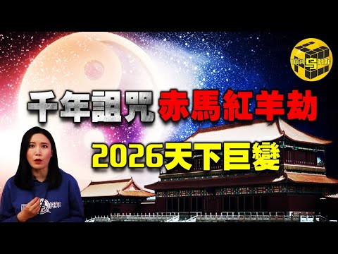 浙江隊逆境,坚守公益初,亞冠資金難,世界杯比分,2026世界杯比分,实时比分,赛事分析,足球比分